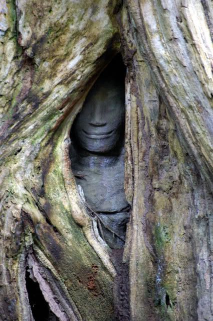 The Angkor Small Tour Circuit - Audio Tour Azbo